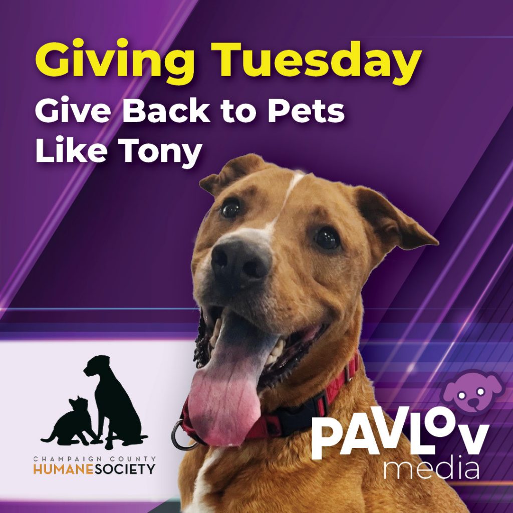 Pavlov Media Partners with Champaign County Humane Society for Giving Tuesday