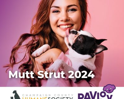Get Ready for the Ultimate Pet Event: The 2024 Mutt Strut!
