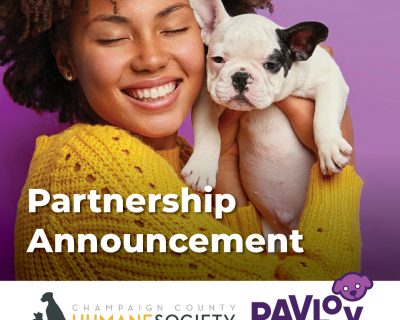 Compassion and Connectivity: Pavlov Media Teams Up with the Champaign Humane Society