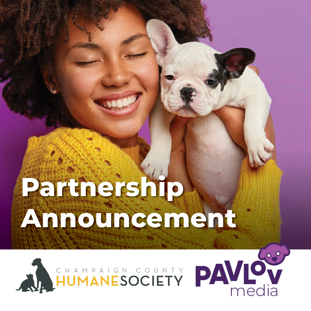 Compassion and Connectivity: Pavlov Media Teams Up with the Champaign Humane Society